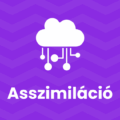 asszimiláció