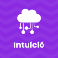 intuíció